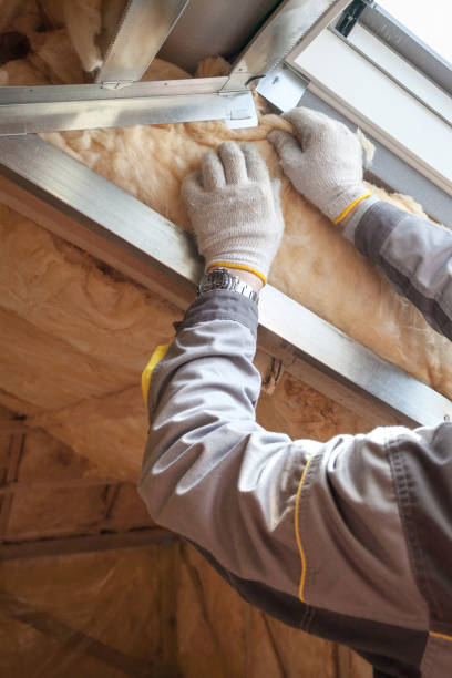 Best Commercial Insulation Contractor  in King Arthur Park, MT