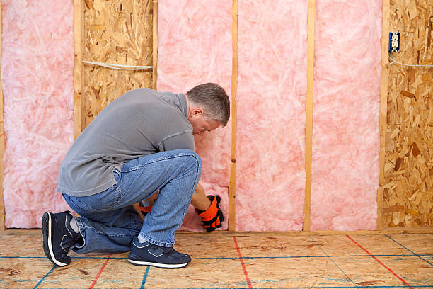 Best Insulation Contractors for Homes  in King Arthur Park, MT