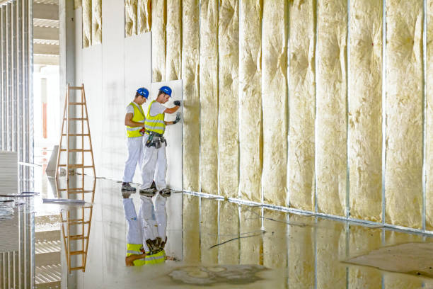 Insulation Contractors for Homes